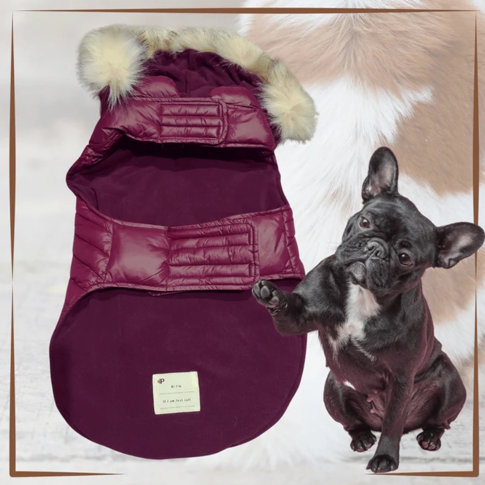 Pajar Dog Jacket - Picture 7 of 14